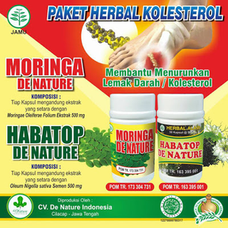 Illustration for article titled Obat Darah Tinggi Tradisional
